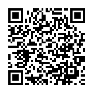 甚至有时候路易斯二世看着苏凡的资料也会将自己设想成苏凡二维码生成