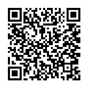 甚至有的官员府上的姨娘庶子庶女们跟着出洞了二维码生成