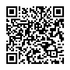 甚至有麾下的将领曾经胆大包天的向中堂大人劝进二维码生成