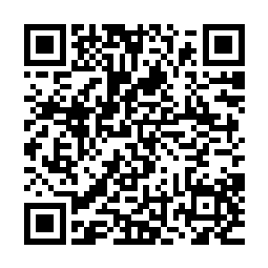 甚至杨啸天感觉自己原本修为瓶颈竟然都开始有些松动了起来二维码生成