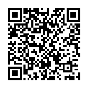 甚至林父连平常很铁的几个战友也落下面子打电话过去问了二维码生成