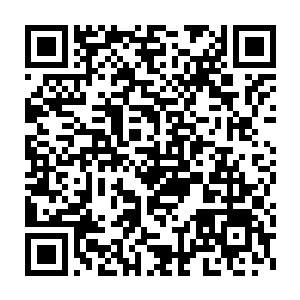 甚至某种程度上可以说是未来两年的国内电影电视剧的基本路线图二维码生成