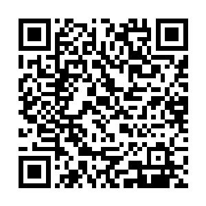 甚至横跨多台车辆同步运作或是以交互方式进行控制二维码生成