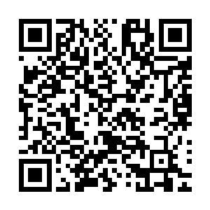 甚至武教授在研究了这些特殊物质之后做出了一个大胆的预言二维码生成