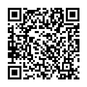 甚至每一批域主都将那孵化半完全的王主级墨巢带在身边二维码生成