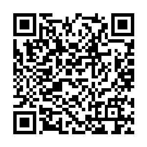 甚至比刘青和陈长生加诸在他的身上的伤势更要重二维码生成