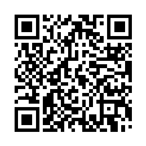 甚至没有人去理会莱昂纳多那不礼貌的声音二维码生成