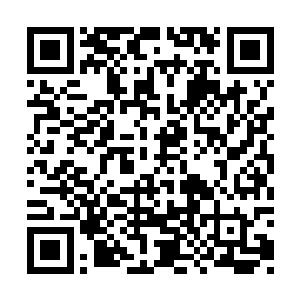 甚至没有几个人注意到她的美少女竟然是个话唠二维码生成