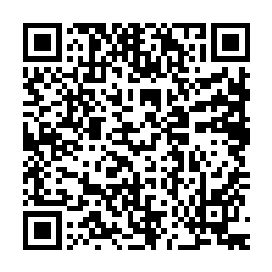 甚至现在才四岁的他就已经能够背下整本圣经以及一些教廷的其他书籍二维码生成