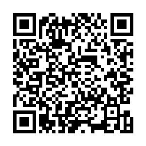 甚至生出了一种阵图和他心中那万星光点融为一体的想法二维码生成