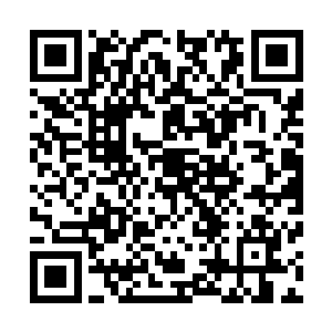 甚至用化形药水解析……苏落所知道的所有办法她都试过了二维码生成