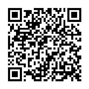 甚至看到了她在信里提到过的那几种翠色的可爱的小鸟二维码生成