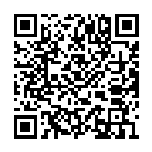 甚至知晓有赤蛇殿和青蛇殿所不知道的隐秘通道二维码生成