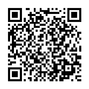 甚至离把地上的草毯都丢了上去仍然没办法阻止那股味道的蔓延二维码生成