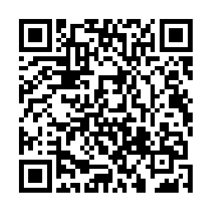 甚至突破到地仙很少……这是剑园一半资源供养本命仙剑二维码生成