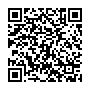 甚至能够从那些坍塌的沟壑里看见赤红色的熔浆在翻滚二维码生成
