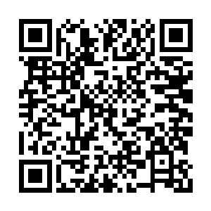 甚至能够以五行之力的演化吞噬其他更多的力量二维码生成