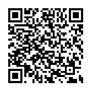 甚至能够以区区界主之境便磨砺出这极致的杀意二维码生成