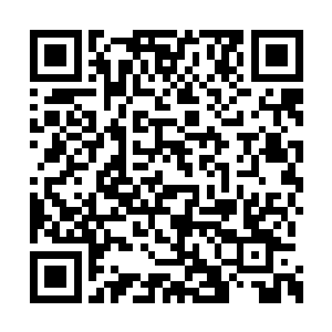 甚至能够看到苏林的骨骼也在慢慢的发生着变化二维码生成