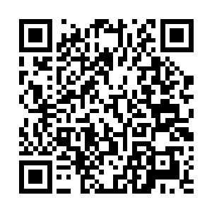 甚至能据此判断出逍遥岛这次进入红荒秘境中规模是多大二维码生成