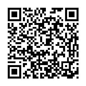 甚至能有几千人就能算是人气爆棚的明星选手了二维码生成