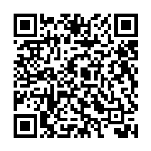 甚至觉得前番输给这个锦衣卫总旗并不算什么羞耻了二维码生成