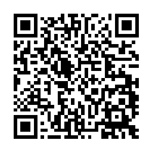 甚至让人有种打个喷嚏或者是有人在她脑袋后面来上一巴掌二维码生成