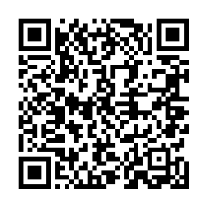 甚至让徐旭红让剧本模板师添加了鱼仔送钢笔这一个片段二维码生成