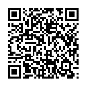 甚至让旁边场外观战的两个士族少年看得血脉贲张二维码生成