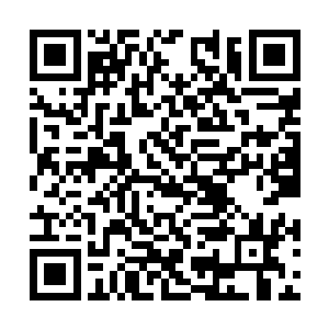 甚至说话可以和太上大长老还有门主平起平坐的人二维码生成