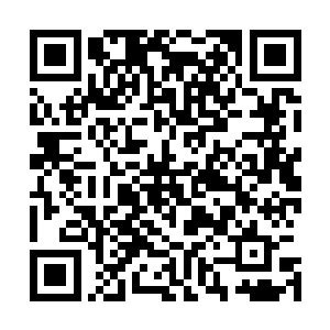 甚至还偶尔会拿出一些天材地宝和丹药来帮助这些居民修行二维码生成
