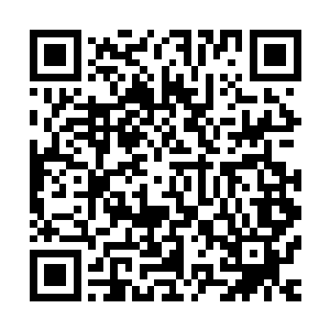 甚至还发现有些商铺掌柜的把门一关后立刻领着一群伙计跑路二维码生成