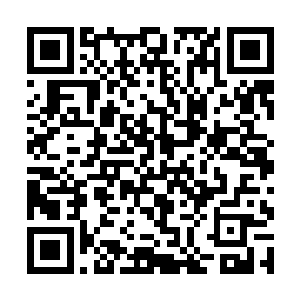 甚至还如同剃刀一般将虫甲下方的肌肉骨骼寸寸削去二维码生成