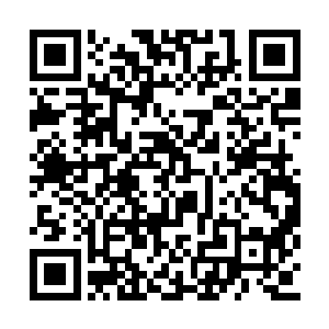 甚至还将这些以名利为目标的争斗放大了无数倍二维码生成