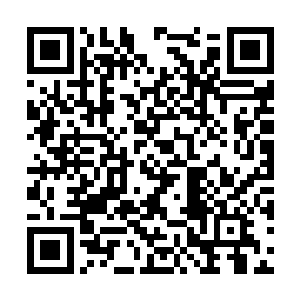 甚至还就在杨爷的眼皮底下差点动手打了他的朋友二维码生成