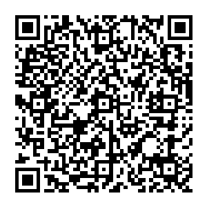 甚至还想知道这家伙死后用火烧一下会不会如同玄奘一般生出无数颗舍利子――这东西没见过啊二维码生成