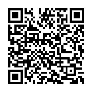 甚至还有一个小护士主动过来给李锐做保健按摩二维码生成