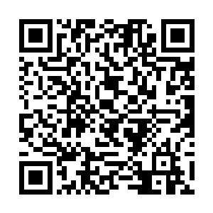 甚至还有一个浑身散发着界主境界的强大气息的大妖二维码生成