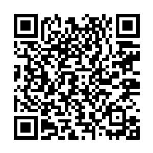 甚至还有一些专门生活在空间缝隙当中的奇异生物二维码生成