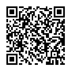 甚至还有两块晒干的丝瓜瓤和两柄给猪剃毛的钢刷二维码生成