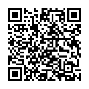 甚至还有人说曾经看见碧海阁有人从后门送走了两个麻袋二维码生成