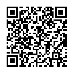 甚至还有好几个人被火种爆发出来的恐怖的天火火焰给轰杀了二维码生成