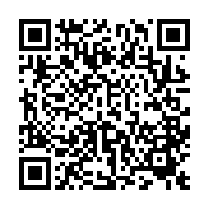 甚至还有属于我母后的娘家那边的血脉……明知道斗不过二维码生成