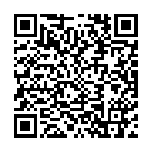 甚至还有着凭借数千名人渣与罪犯海盗直接征服了整个大陆二维码生成
