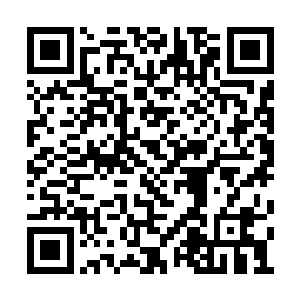 甚至还有红外感应仪和上百只经过特训练的狼狗二维码生成