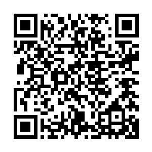 甚至还腾出手来把栅栏边保安室窗台上的橡胶狼牙棍抓了一根二维码生成