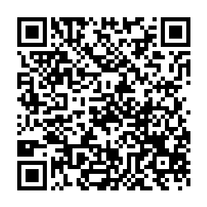 甚至还臆想着有可能是林家被人收养去的私生女之类不着边际的猜测二维码生成