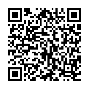 甚至还自己创造了长颈大尸兄这一类有着绿色眼睛的新型态尸兄二维码生成