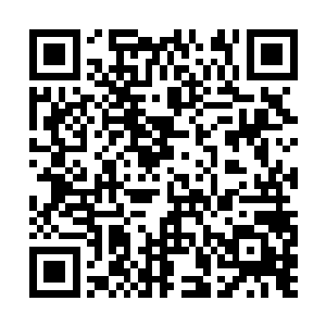 甚至还花费了不少的人力收集了这么多的紫玄珍珠二维码生成