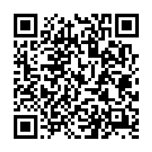 甚至还走过去装模作样地看看那摊在地上的装修图纸二维码生成